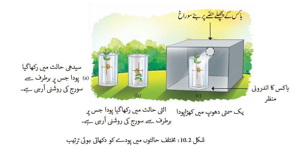 Screenshot 2025-11-06 at 15-06-54 fucu110.pdf