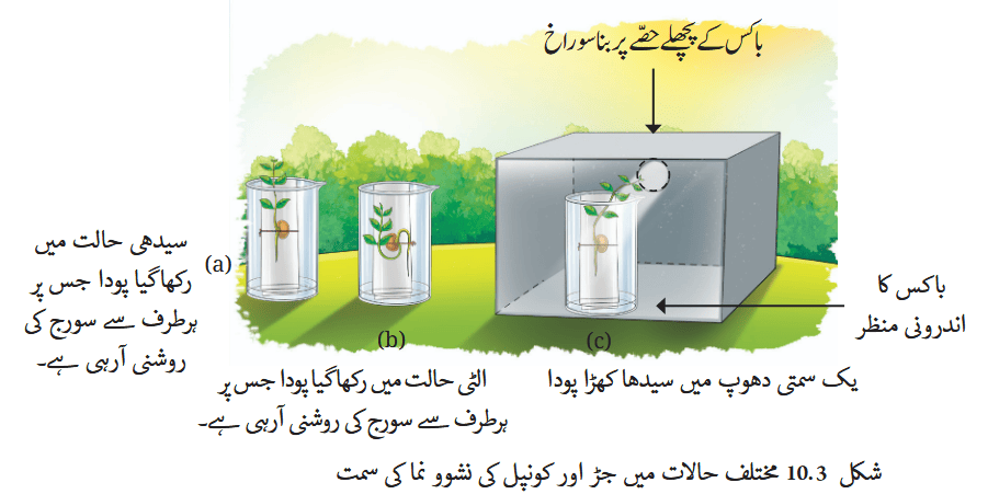 Screenshot 2025-11-06 at 15-07-01 fucu110.pdf