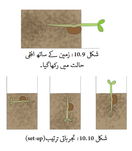 Screenshot 2025-11-06 at 15-08-32 fucu110.pdf