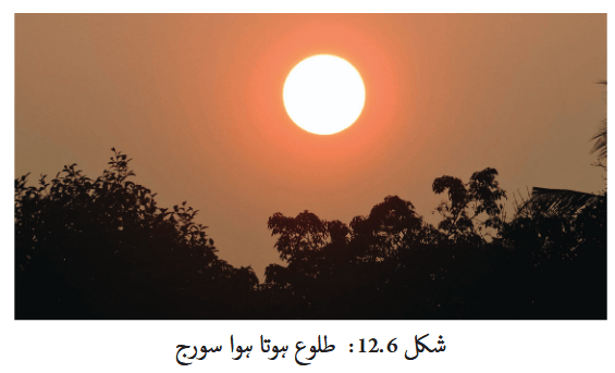 Screenshot 2025-11-07 at 16-37-31 fucu112.pdf