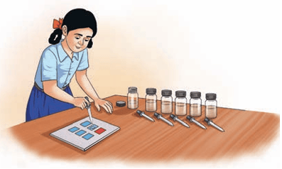 Fig. 2.2(a): Colour change in blue litmus paper
