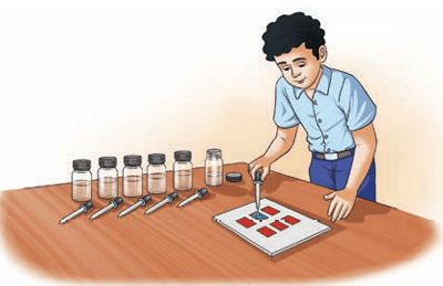 Fig. 2.2(b): Colour change in red litmus paper