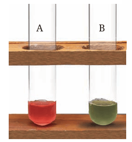 Fig. 2.8