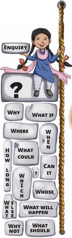 curiosity_enquiry