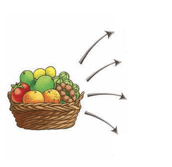 fruits
