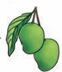green_mango