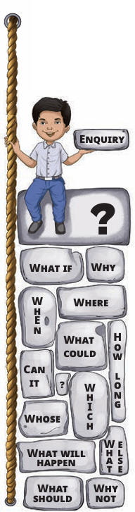 curiosity_enquiry