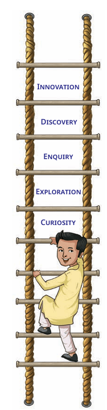 curiosity