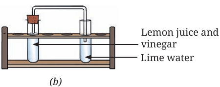 Fig. 5.11(b)