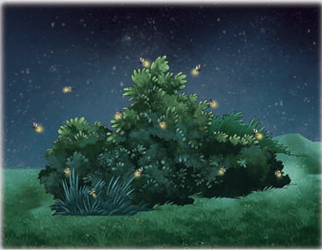 Fireflies