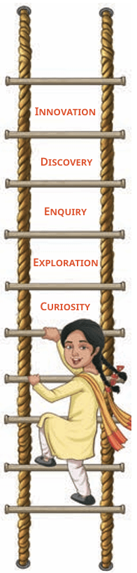 curiosilty