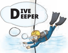 Dive Deeper