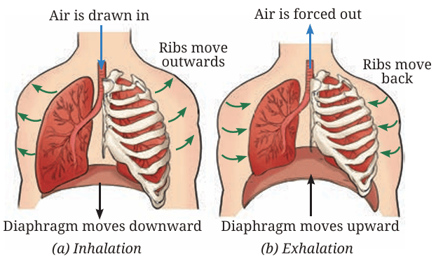 Fig.9.10