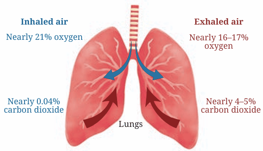 Fig.9.13