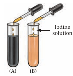 Fig.9.15