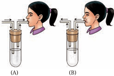 Fig.9.16