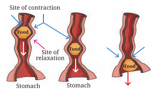Fig.9.2