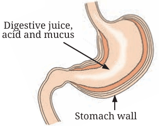 Fig.9.3