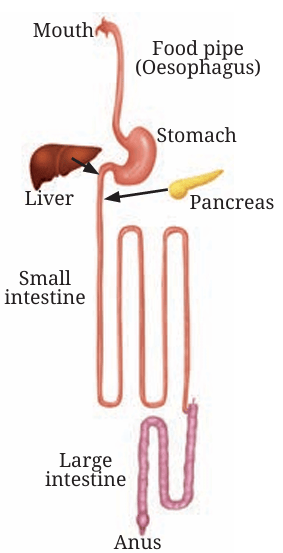 Fig.9.4
