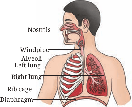 Fig.9.8