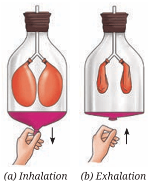 Fig.9.9