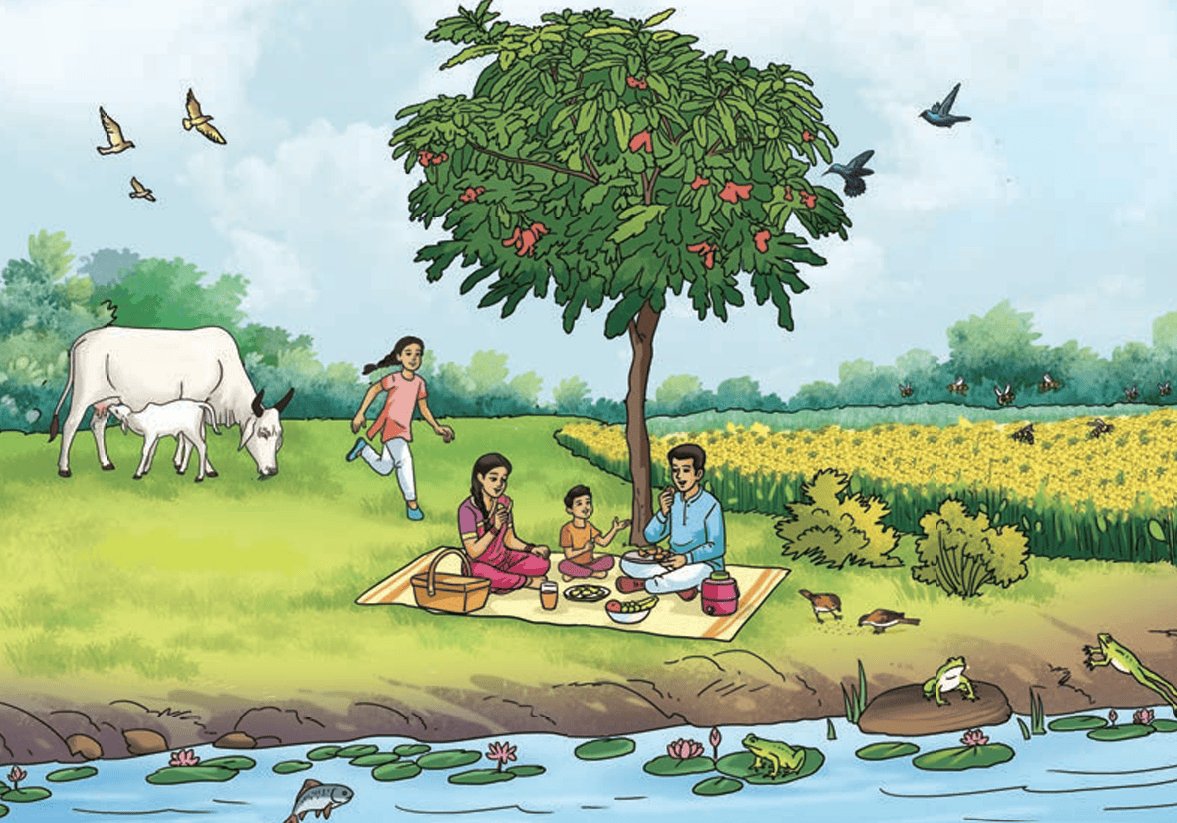 picnic