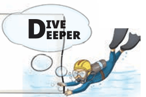 Dive deeper