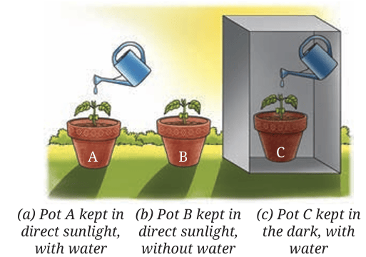 Fig.10.1