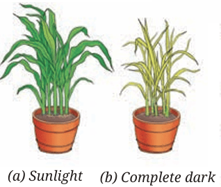 Fig.10.10