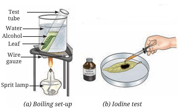 Fig.10.2