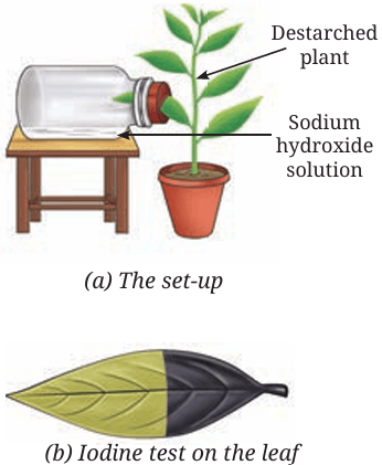 Fig.10.3