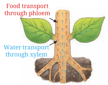 Fig.10.8