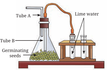Fig.10.9