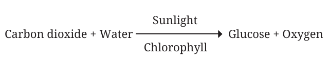equation