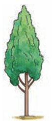Fig.11.19