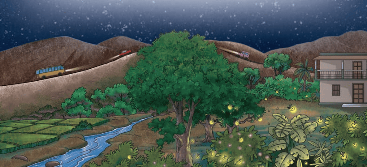 night_scenary