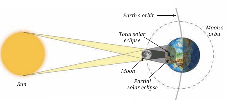 Fig.12.13