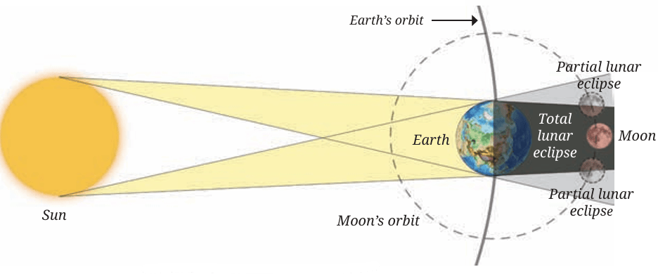 Fig.12.16