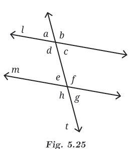 calculation