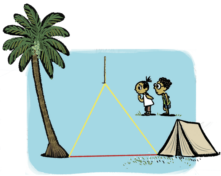 calculation