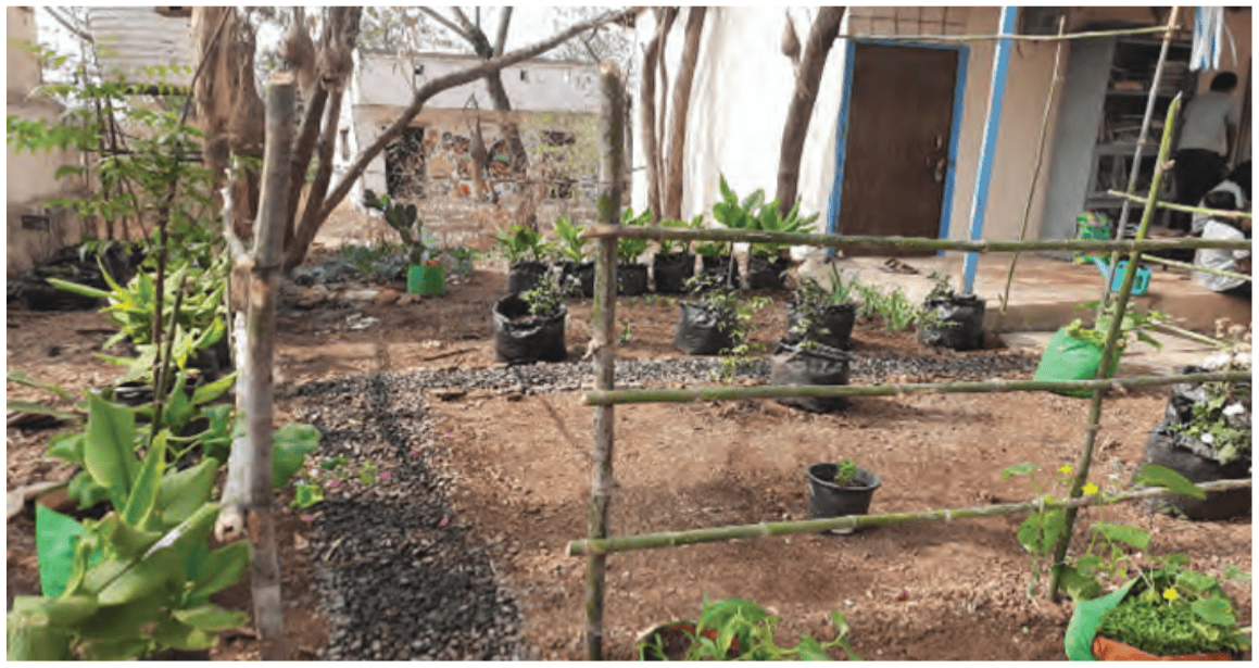 A habitat garden in the making