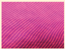 Screenshot 2025-06-24 145810