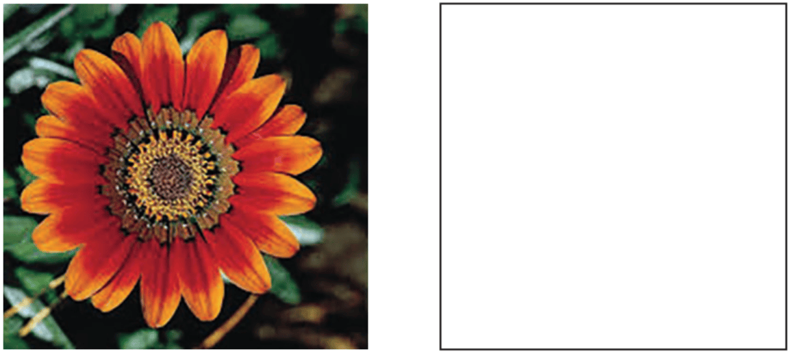 Design inspired by a flower