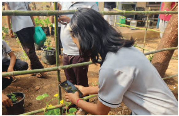 A student using an AI tool to identify a plant