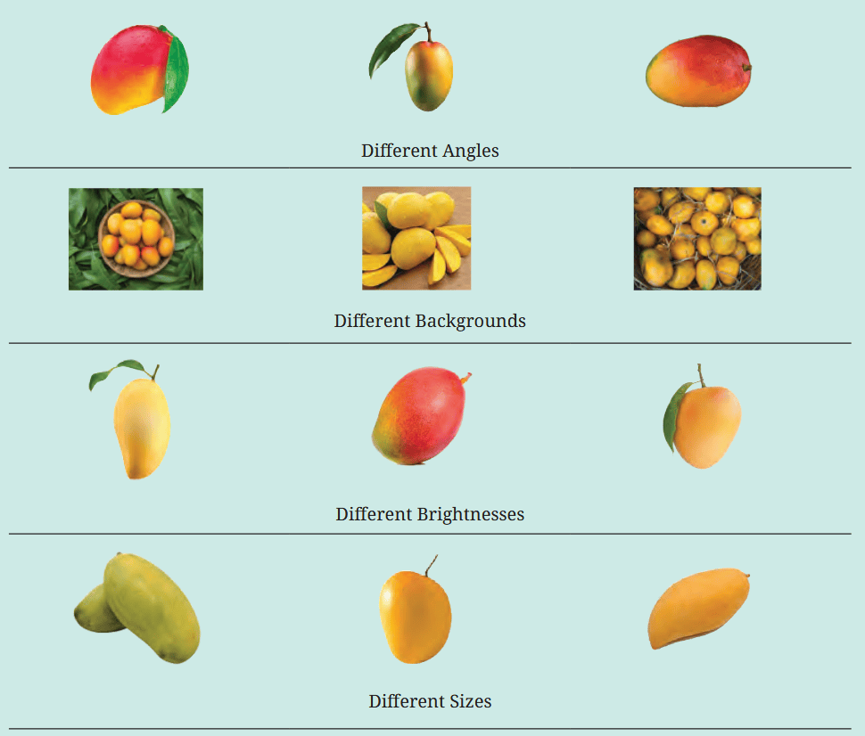 Different Angles, Different Backgrounds, Different Brightnesses, Different Sizes