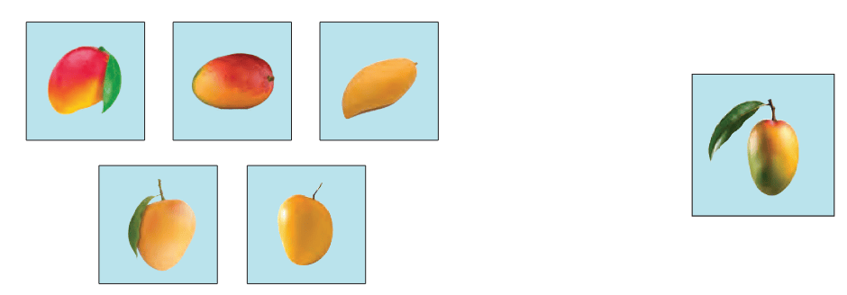 Machine learning to identify images