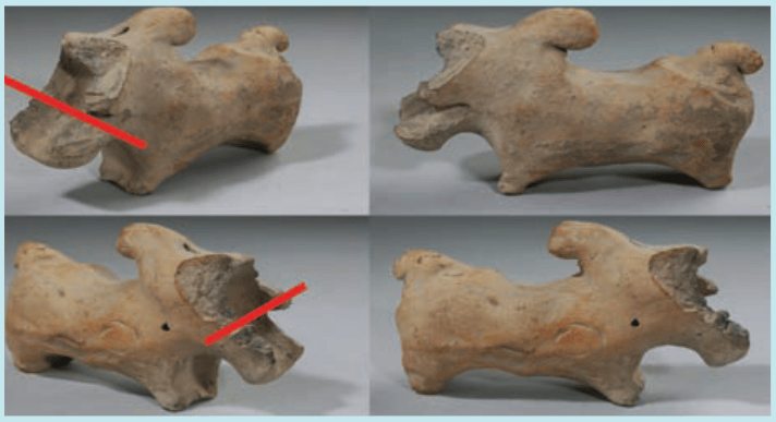 Puppet headed bull