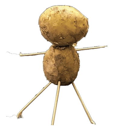 Puppet made from potatoes and sticks
