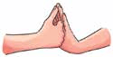 Shankh