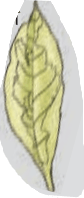 Screenshot 2025-10-03 124615
